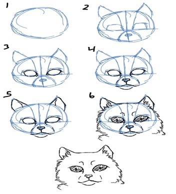 How to Draw A Cats Face