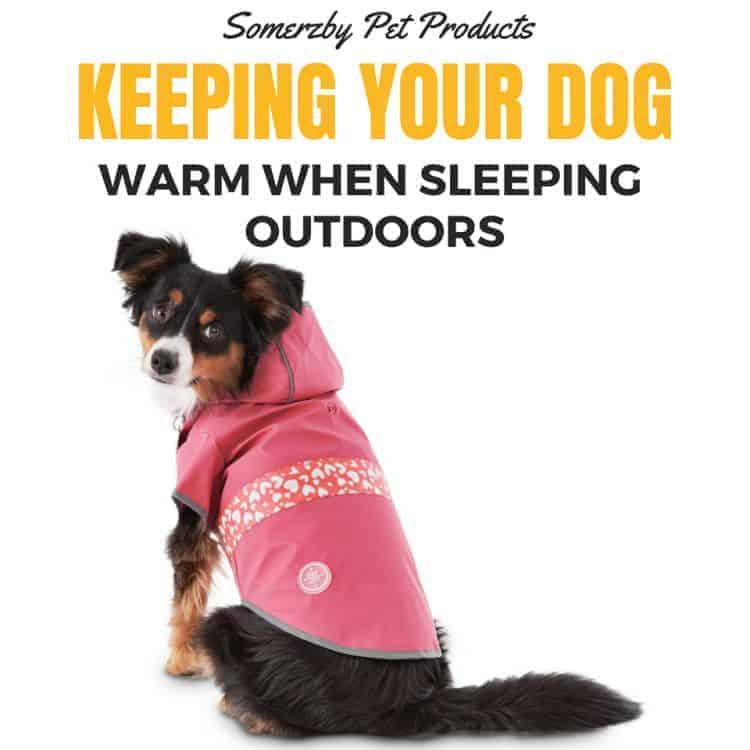 How to keep your dog warm when sleeping outside