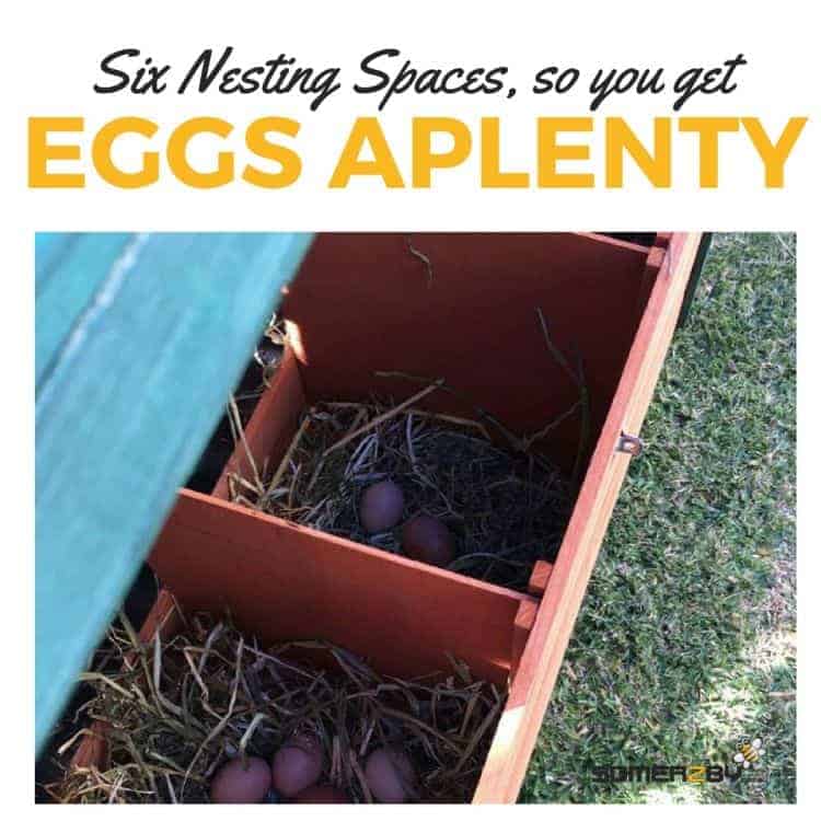 Huge nesting pots so you get heaps of eggs
