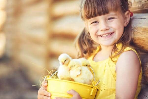 Kids playing outdoors with their pet chickens