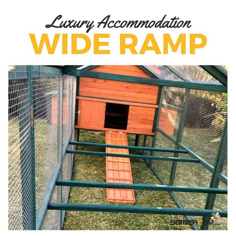Luxury accommodation features wide ramps and lots of roosting perches