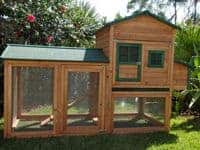 mansion large guinea pig house