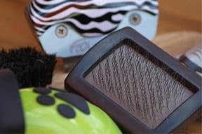 Petbrush Petbrush