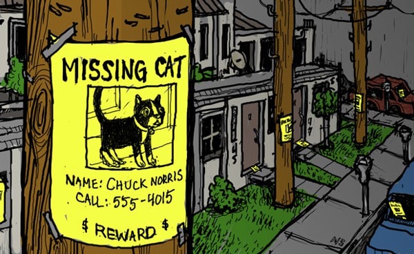 Put the cat posters up everywhere you can including animal shelters and rescues vets grocery stores parks