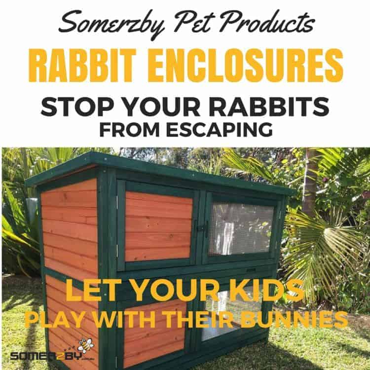 rabbit enclosures