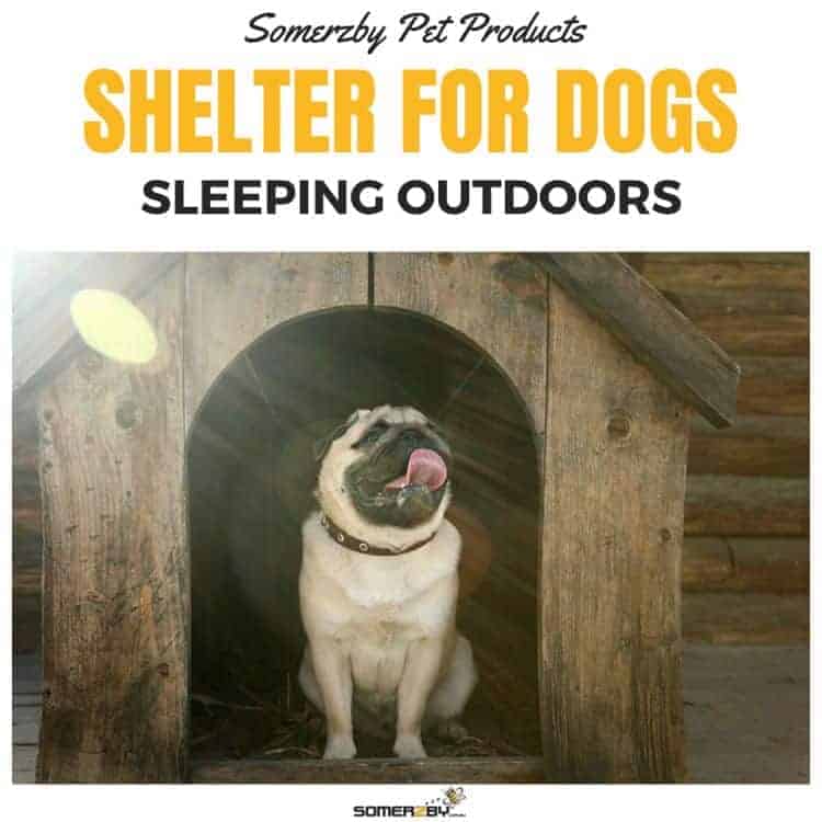 Shelters for dogs sleeping outside