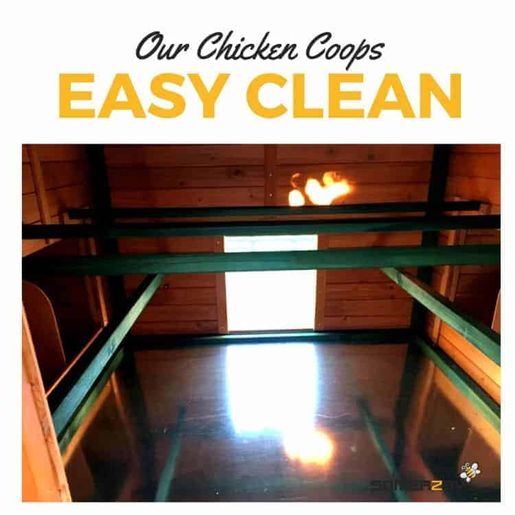 Somerzby chicken coops are easy to clean