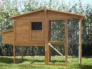 somerzby manor walk in chicken coops