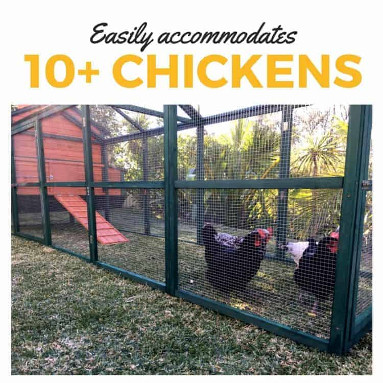 Somerzby resort easily accommodates up to 14 chickens