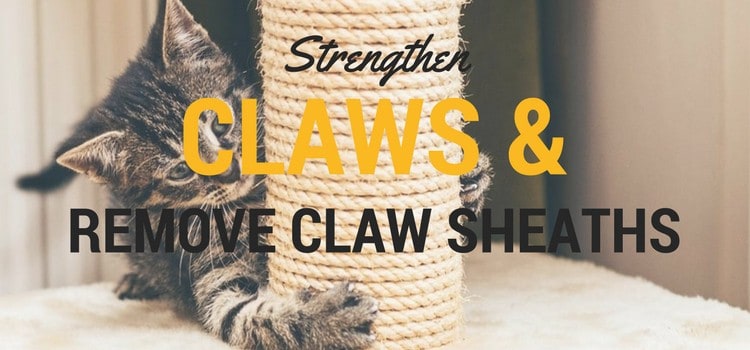 Strengthen claws & remove claw sheaths