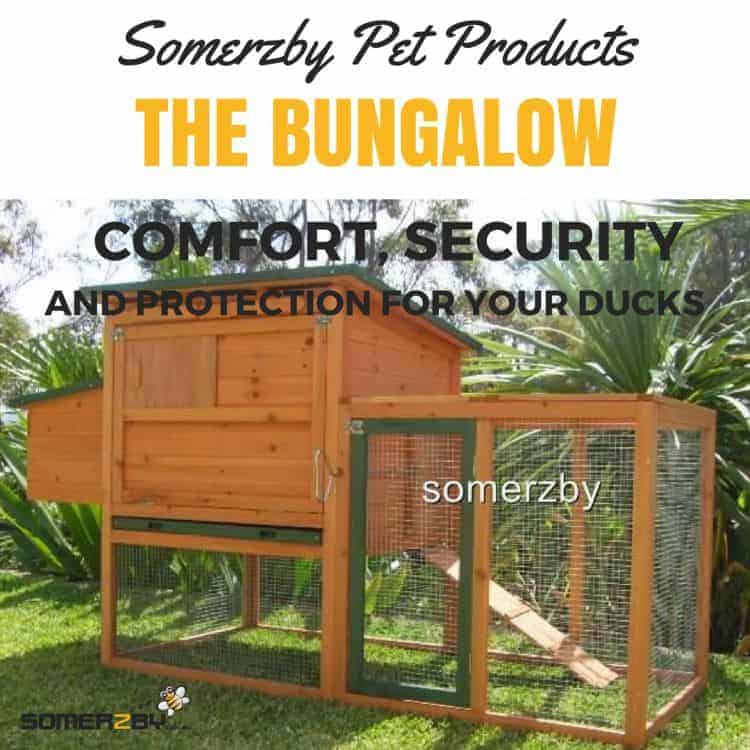 Duck cages deals