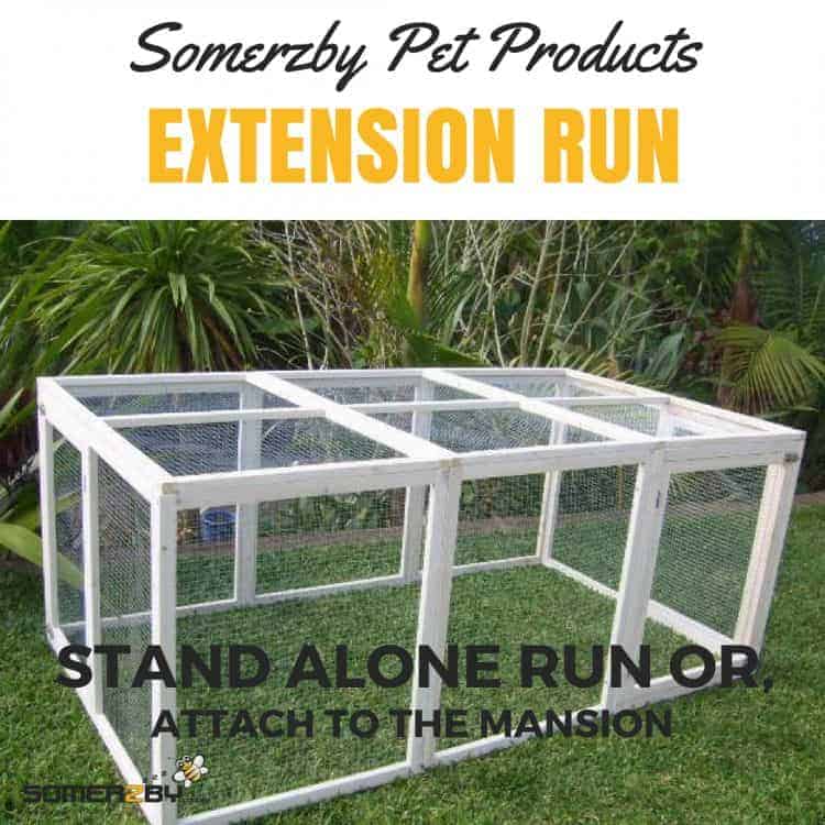 The extension run