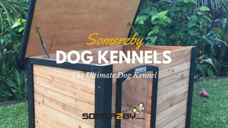 The ultimate dog kennel