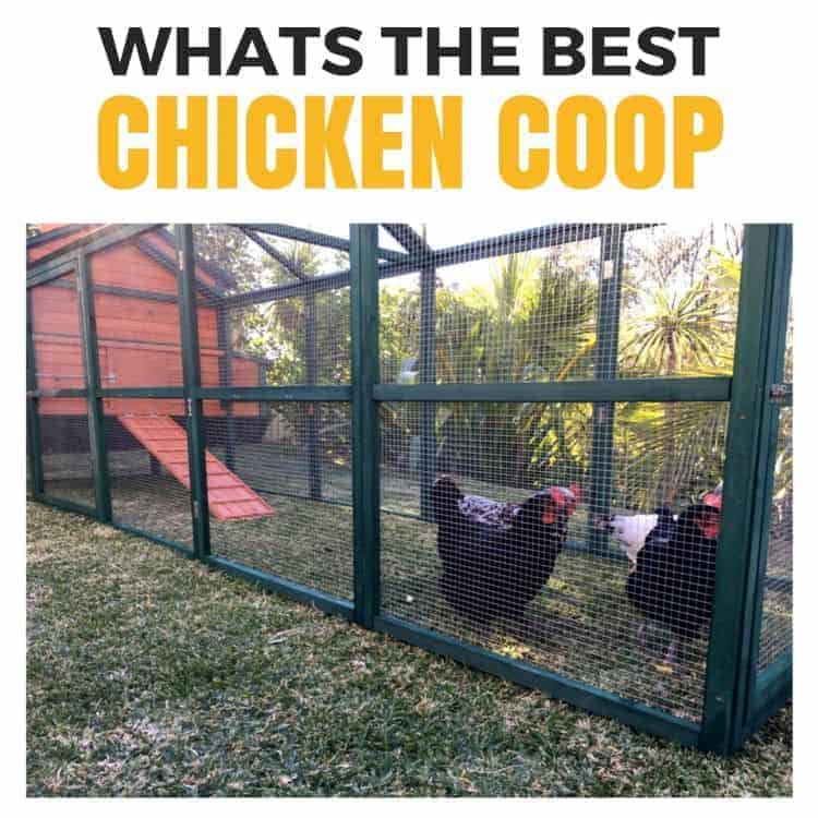 Whats the best chicken coop
