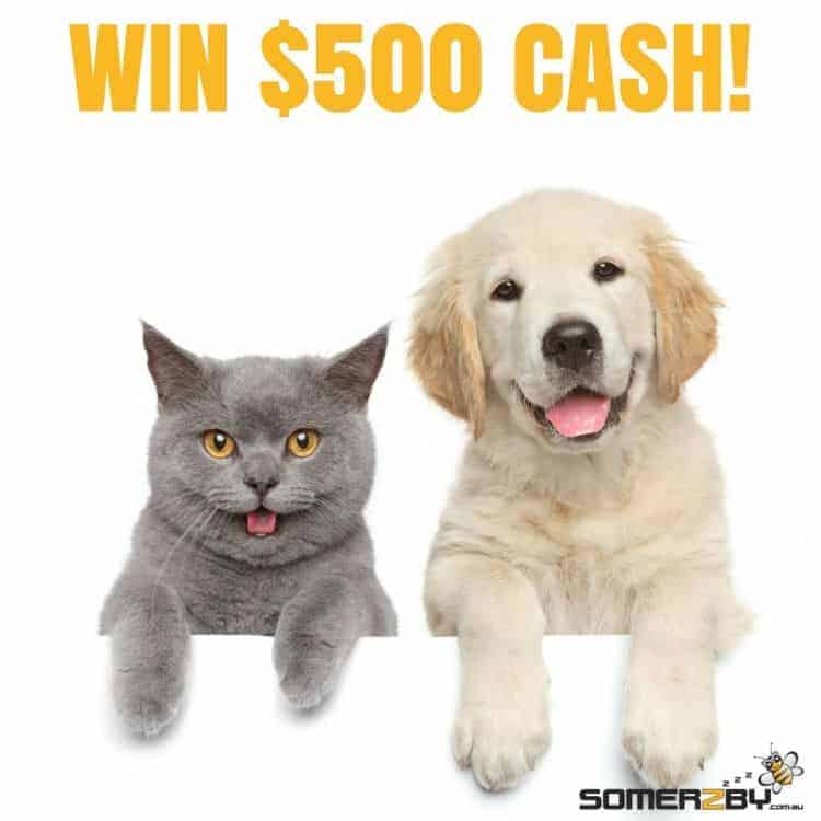 win $500 cash