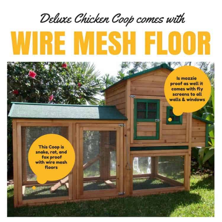 Deluxe chicken coop comes with wire mesh floor