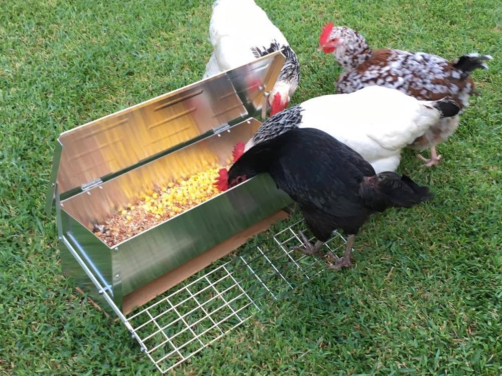 Automatic Chicken Feeder by Somerzby