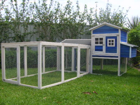 Chicken coop deals cat enclosure