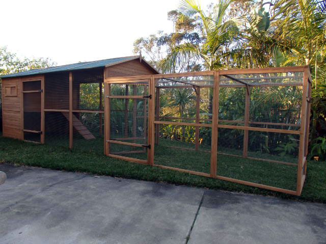 Catio large enclosure and run