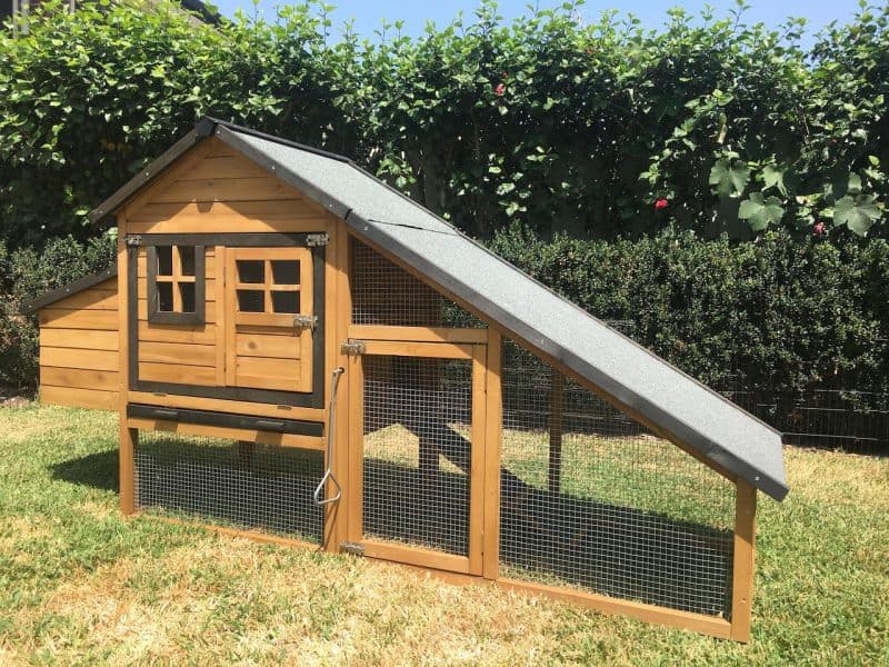 Strong Wire Mesh Keeps your Pets Safe from External Dangers