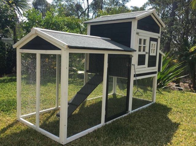 Mansion guinea pig hutch