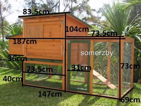 Guinea pig bungalow dimensions