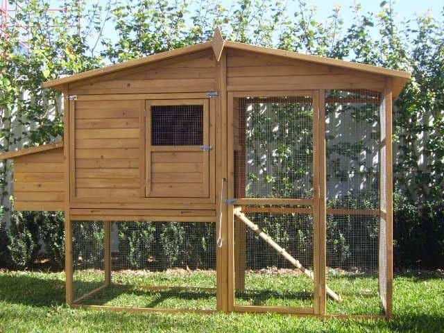manor large guinea pig hutch