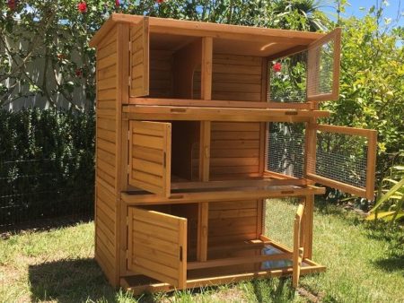 Opening doors of Rabbit Hutch