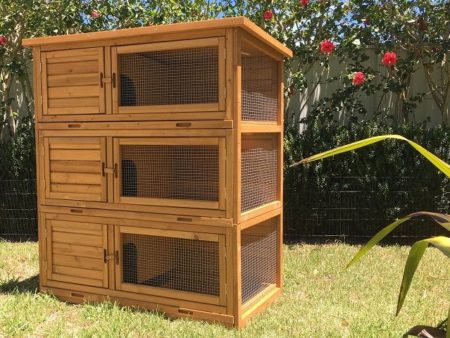 Tri-Level Rabbit Hutch