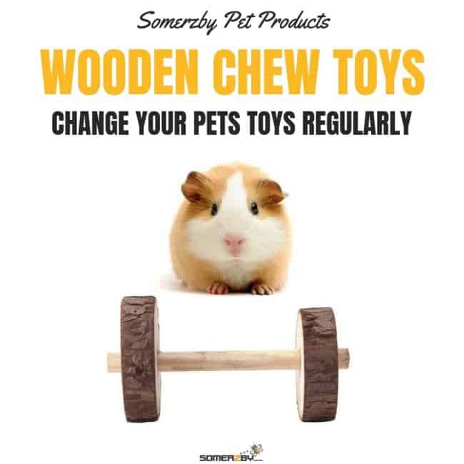 Change your pets toys regularly