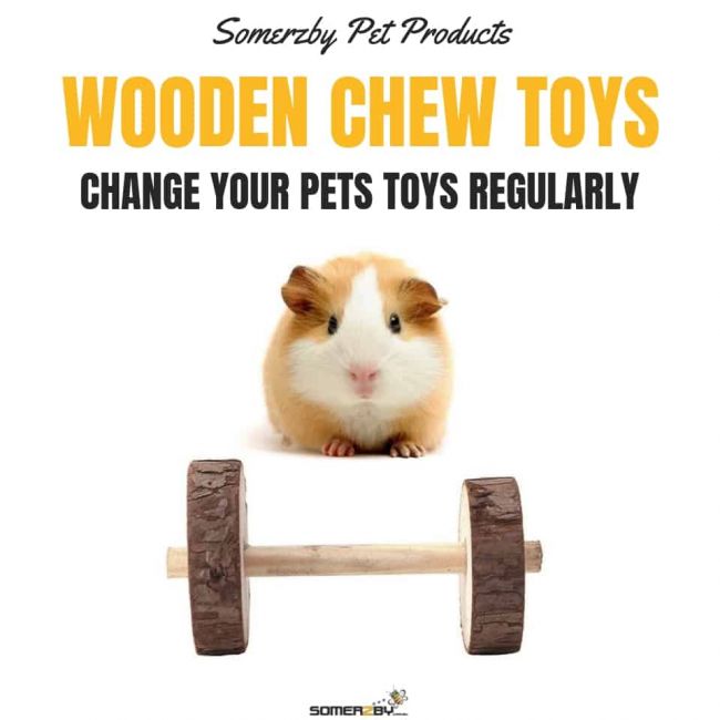 Change your pets toys regularly