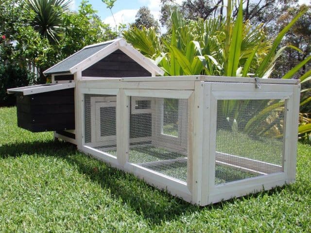 Deluxe small cottage for chickens