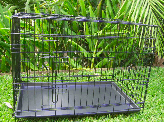 XL Pet Crate 42"