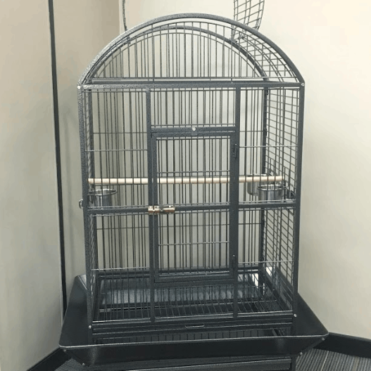 Bella Bird Cage