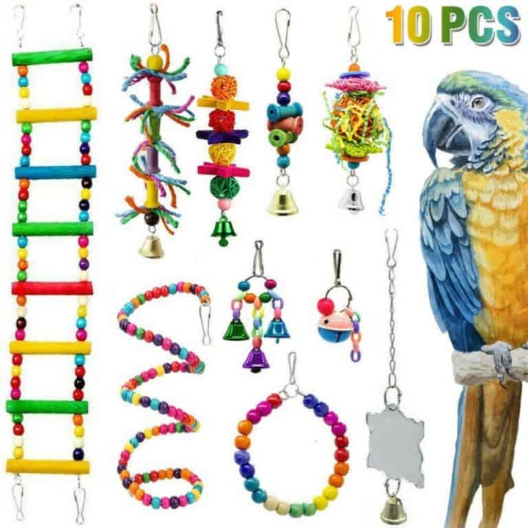10 x Free Hanging Bird Toys