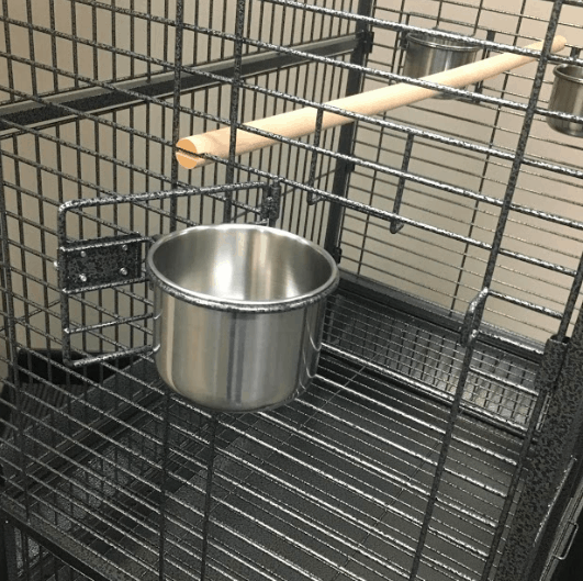 Metal Feeding Bowls in the Bella Cage