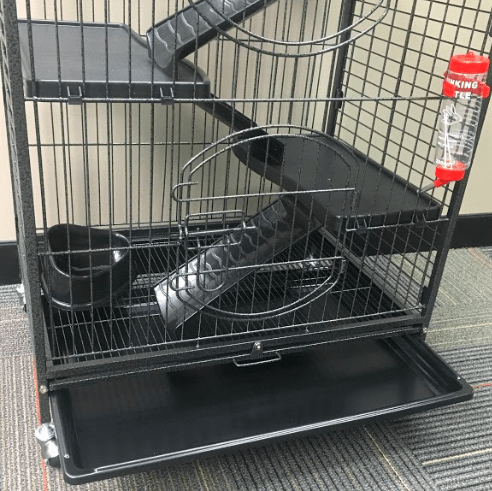 Cooper Cage Features a Feeding Bowl and Drinking Bowl
