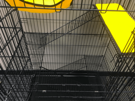 Safety Ramps for the ultimate freedom for your ferrets