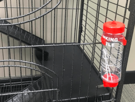 The Cooper Ferret Cage comes with a drinking bottle