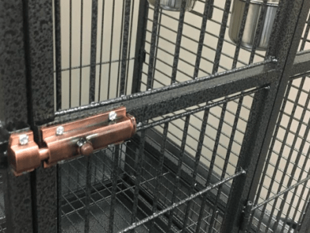 Secure Lock to Ensure Birds Safety