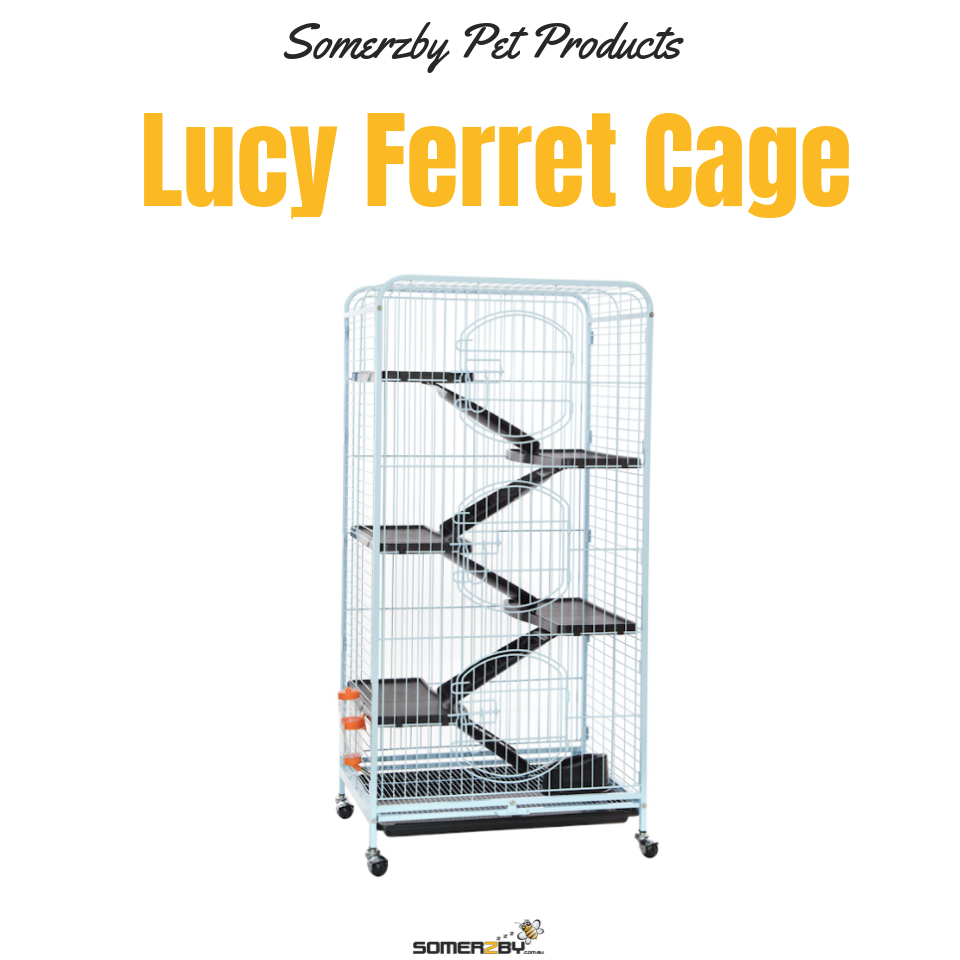 Lucy Ferret Cage 