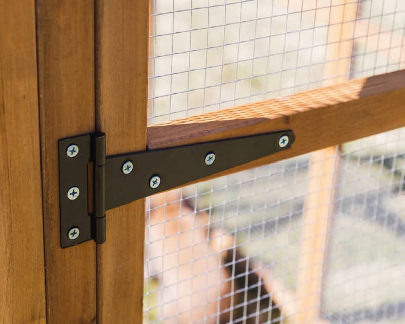 Strong and Secure Locks for your Pets Safety