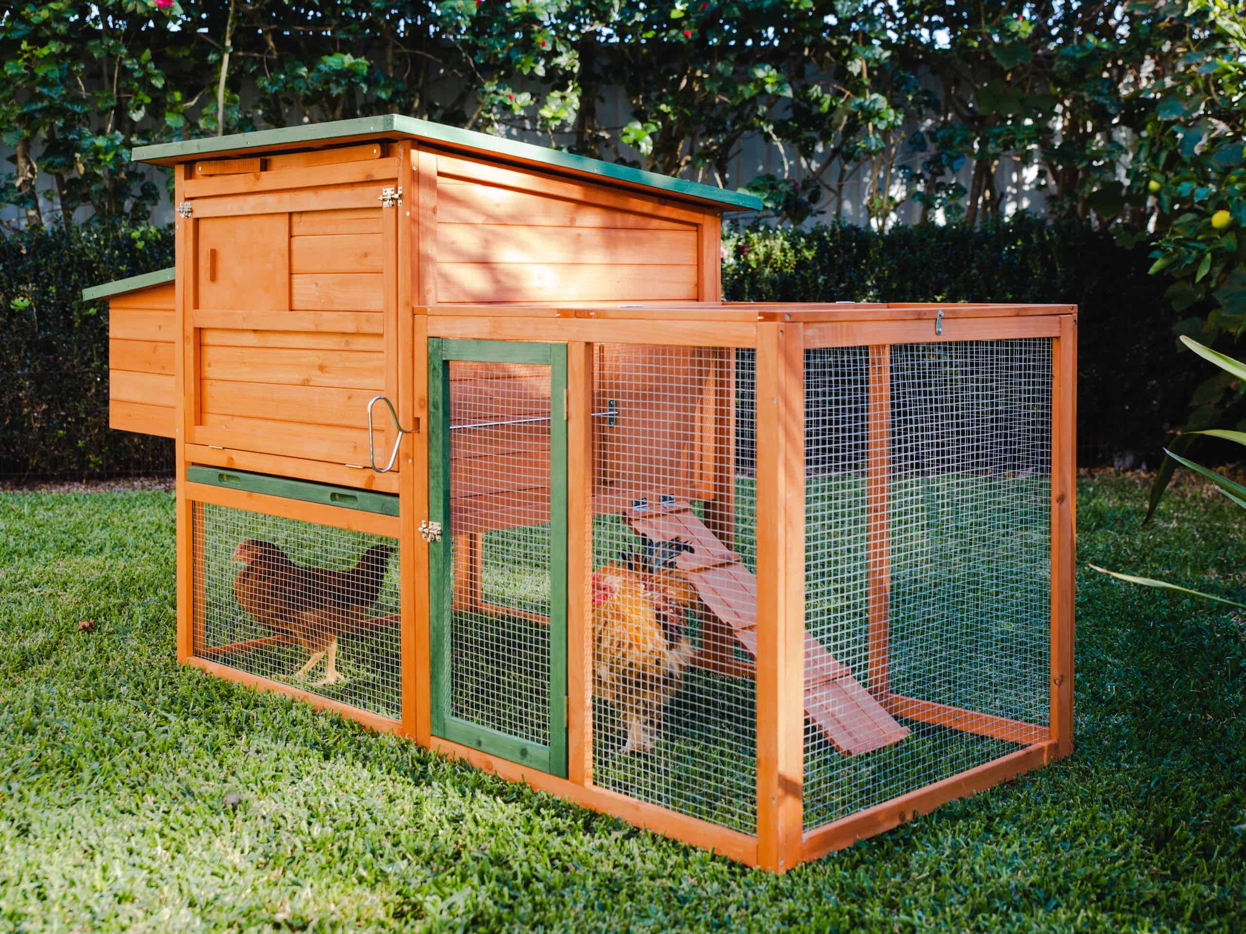 Bungalow Chicken Coop by Somerzby