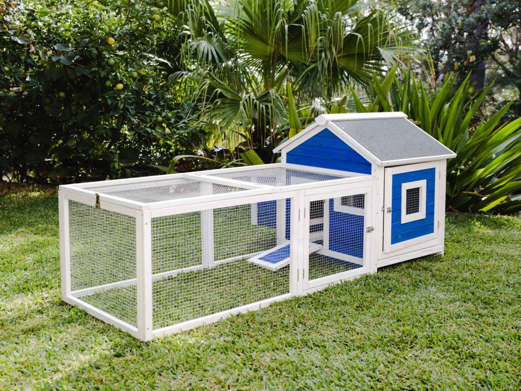 11 More Affordable Chicken Coops For Sale New 2019 Stock