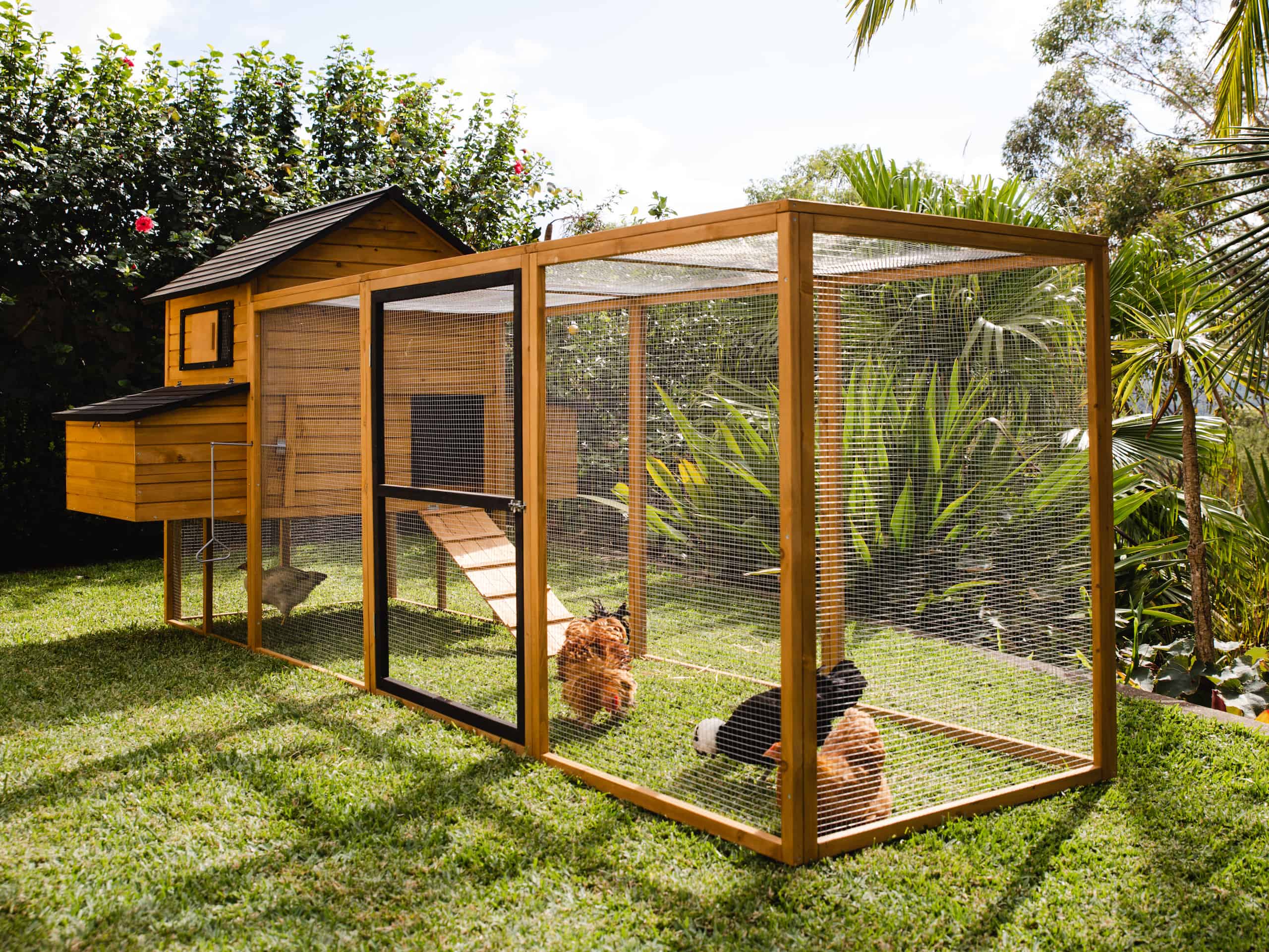 Cabana and Run Chicken Coop Package by Somerzby