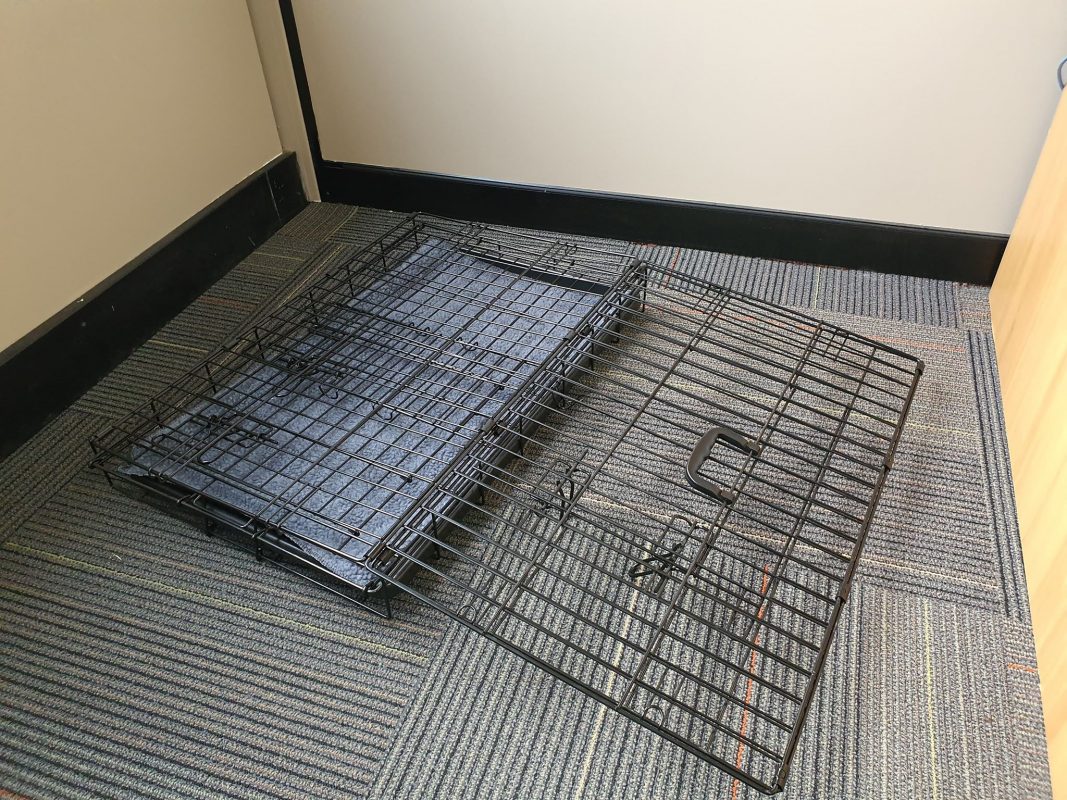 Collapsible Crate