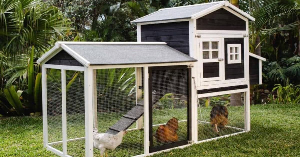 Mansion Chicken Coop