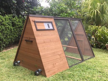 Holly shop rabbit hutch