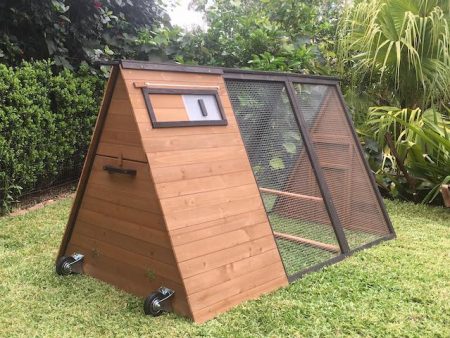 Holly - Somerzby Chicken Coop