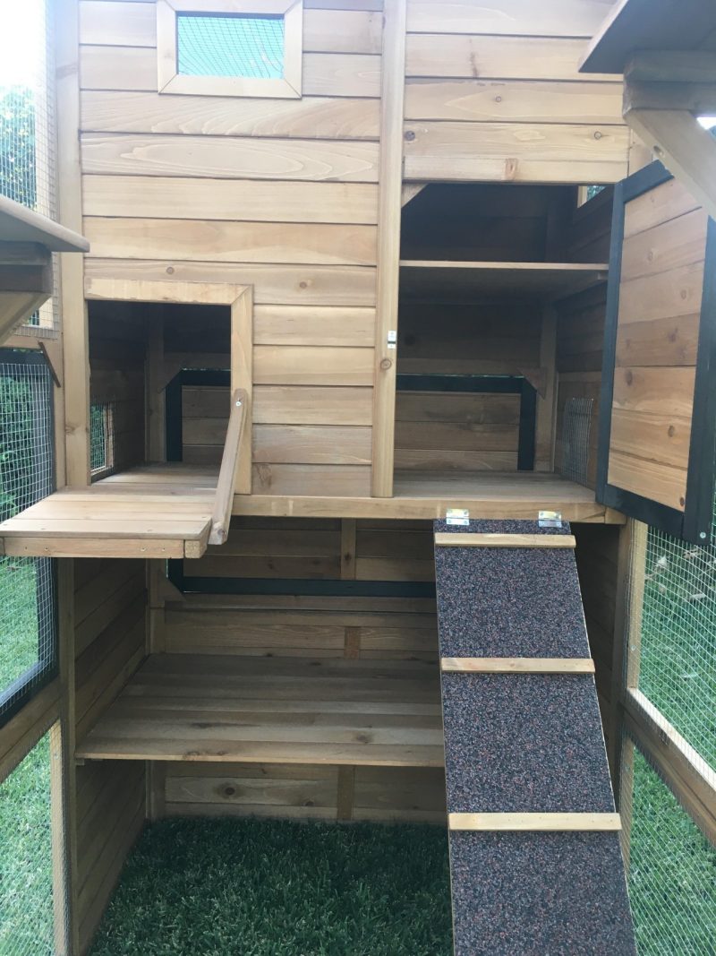 3 Level Heidi Cat Enclosure - Internal View